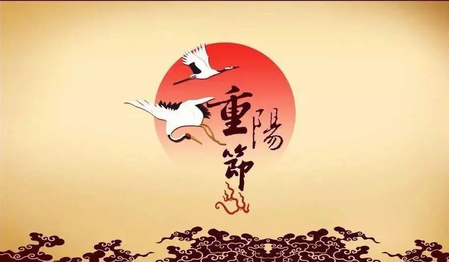 1701750915042.jpg 1701750915042.jpg