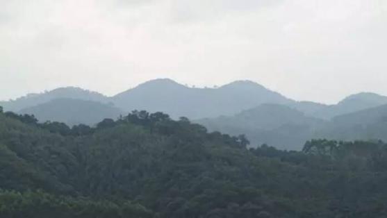 文曲星6.png 文曲星6.png
